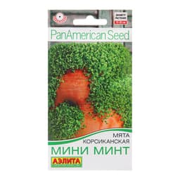 Семена Мята корсиканская «Мини минт», драже в пробирке, 3 шт., однолетник, «Аэлита» селекция PanAmerican