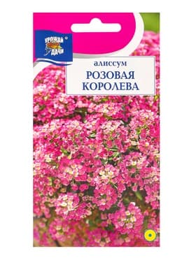Семена цветов Алиссум "Розовая королева",  0,1 г