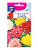 Семена цветов Гвоздика «Гренадин», Смесь окрасок, 0.1 г