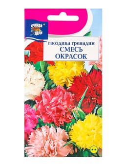 Семена цветов Гвоздика «Гренадин», Смесь окрасок, 0.1 г