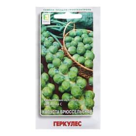Семена Капуста брюссельская «Геркулес », 0.5 г, «Поиск»