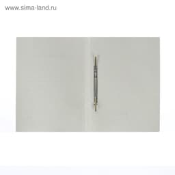 Набор папок скоросшивателей Calligrata «Дело» 220 г/м², картон немелованный, до 200 листов, 10 штук