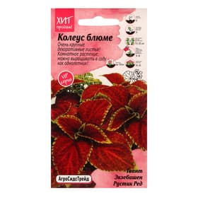 Семена Цветов Колеус блюме «Гиант Экзибишен Рустик Ред», 10 шт., «Агросидстрейд»