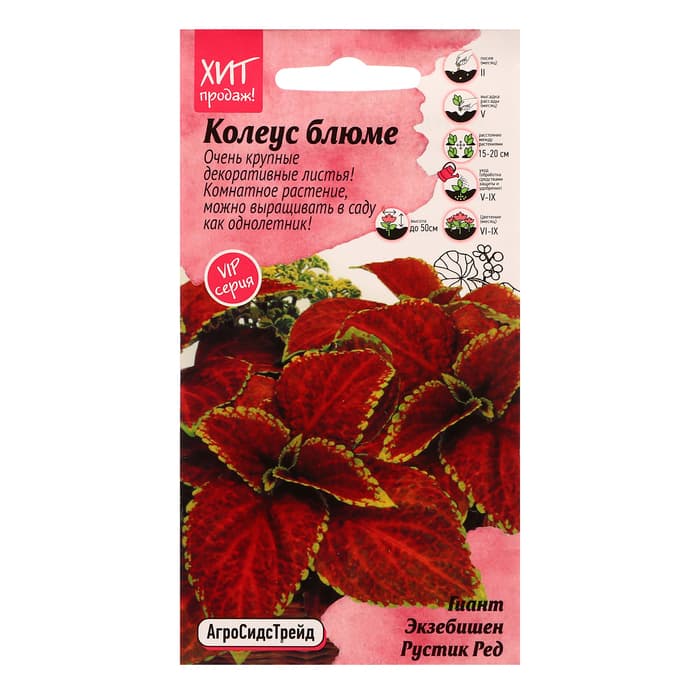 Семена Цветов Колеус блюме «Гиант Экзибишен Рустик Ред», 10 шт., «Агросидстрейд»