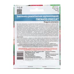 Семена Земляника «Гиганто Росса», 10 шт., ремонтантная, крупноплодная, «Уральский дачник»