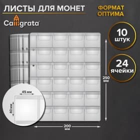 Набор листов для монет, формат «Оптима», 10 листов 200×250 мм, на 24 ячейки 45×40 мм