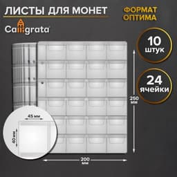 Набор листов для монет, формат «Оптима», 10 листов 200×250 мм, на 24 ячейки 45×40 мм