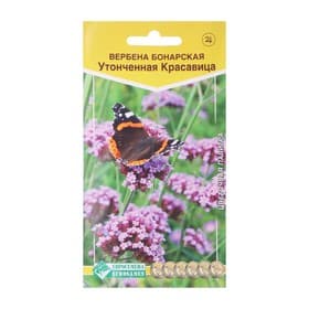 Семена Цветов Вербена бонарская «Утонченная Красавица», 5 шт., «Евросемена»