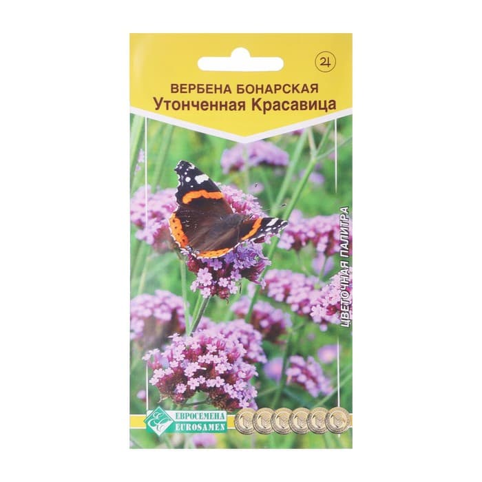 Семена Цветов Вербена бонарская «Утонченная Красавица», 5 шт., «Евросемена»