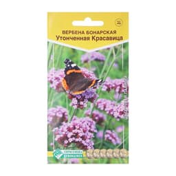 Семена Цветов Вербена бонарская «Утонченная Красавица», 5 шт., «Евросемена»