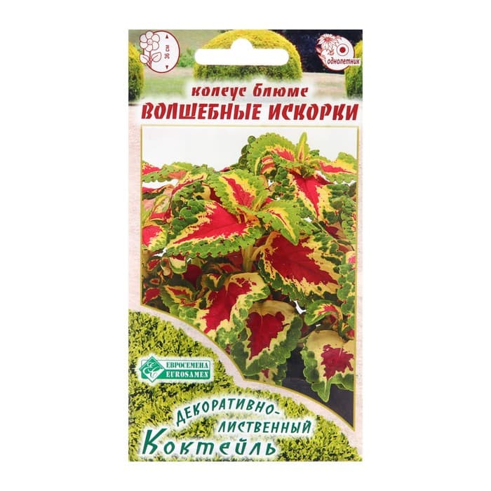 Семена цветов Колеус блюме «Волшебные Искорки», 10 шт., «Евросемена»