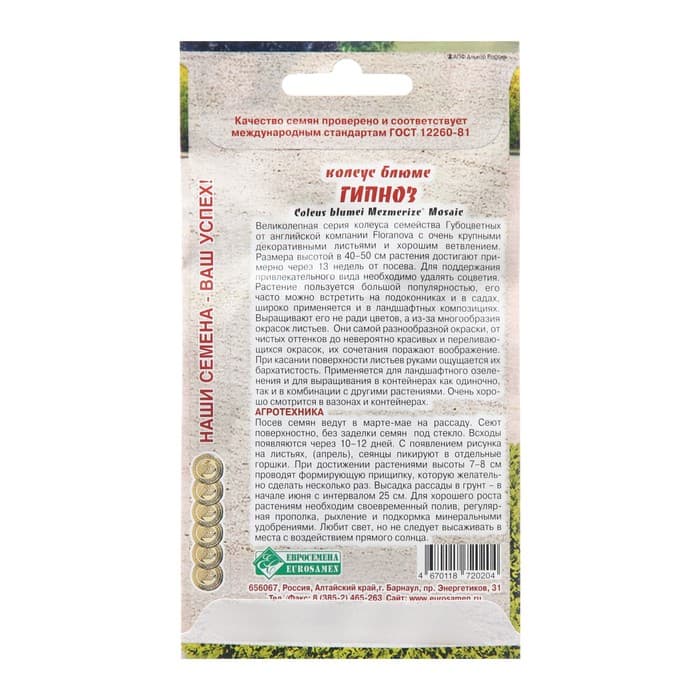 Семена цветов Колеус блюме «Гипноз», 3 шт., «Евросемена»