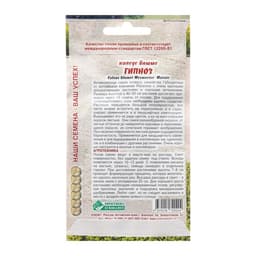 Семена цветов Колеус блюме «Гипноз», 3 шт., «Евросемена»
