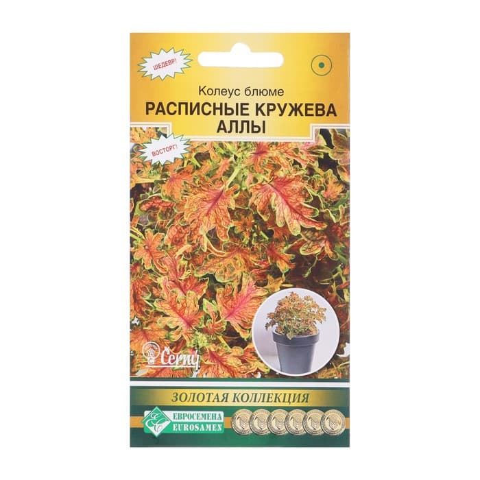 Семена цветов Колеус блюме «Кружева Аллы», 10 шт., «Евросемена»