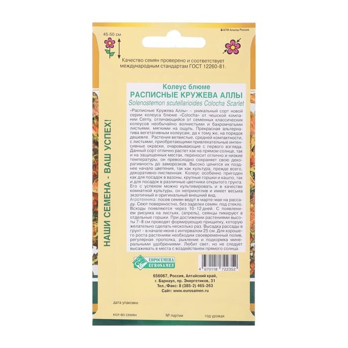 Семена цветов Колеус блюме «Кружева Аллы», 10 шт., «Евросемена»