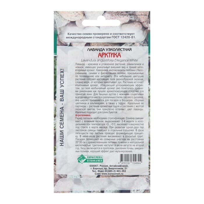 Семена лаванда узколистная «Арктика», 5 шт.