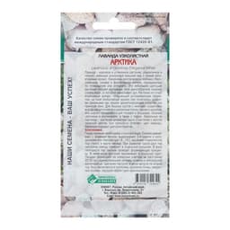 Семена лаванда узколистная «Арктика», 5 шт.