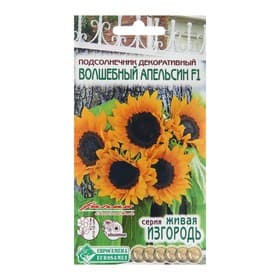 Семена Подсолнечник декоративный "Волшебный Апельсин",  5 шт