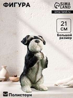 Фигурка полистоун «Попрошайка Шнауцер», 9×10×21 см