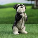 Фигурка полистоун «Попрошайка Шнауцер», 9×10×21 см