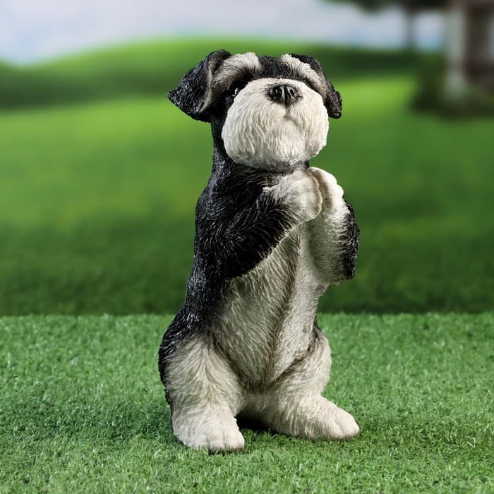 Фигурка полистоун «Попрошайка Шнауцер», 9×10×21 см