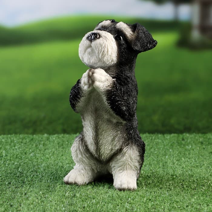 Фигурка полистоун «Попрошайка Шнауцер», 9×10×21 см