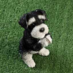 Фигурка полистоун «Попрошайка Шнауцер», 9×10×21 см