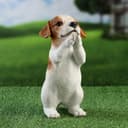 Фигурка полистоун «Попрошайка песик», 10×16×22 см