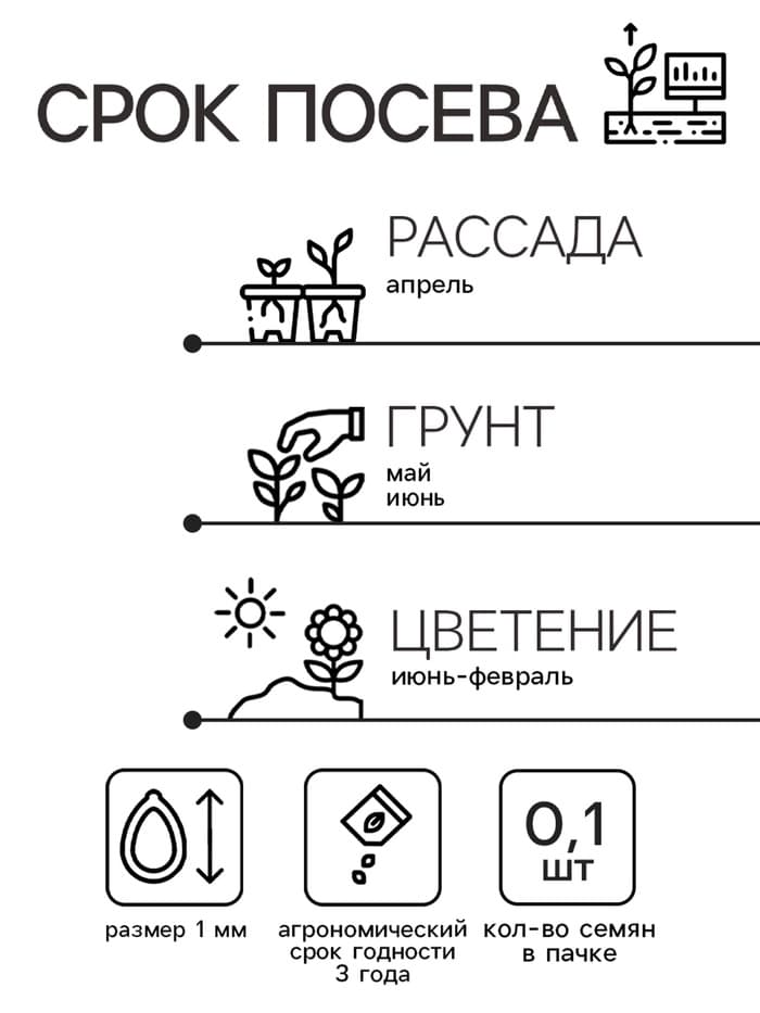 Семена цветов дельфиниум« Жуневер», 0.1 г