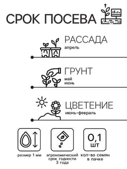 Семена цветов дельфиниум« Жуневер», 0.1 г