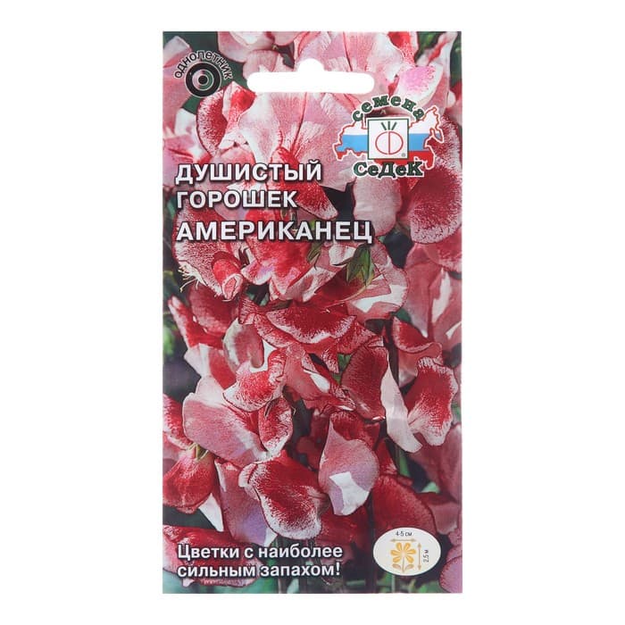 Семена цветов душистый горошек «Американец»