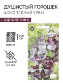 Семена цветов душистый горошек «Шоколадный крем», 0.5 г