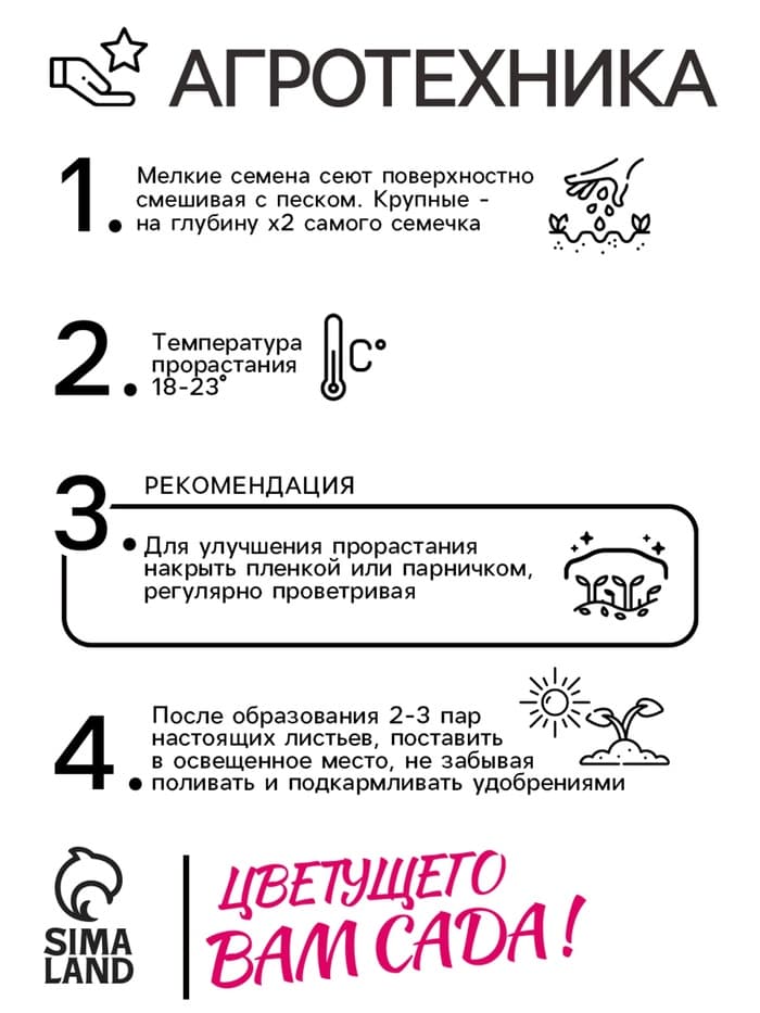 Семена цветов душистый горошек «Шоколадный крем», 0.5 г