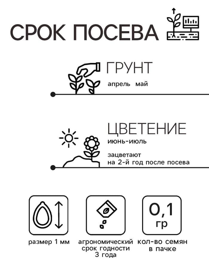 Семена цветов Колокольчик "Первое свидание", Евро, 0,1 г