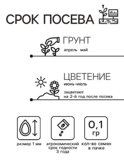 Семена цветов Колокольчик "Первое свидание", Евро, 0,1 г