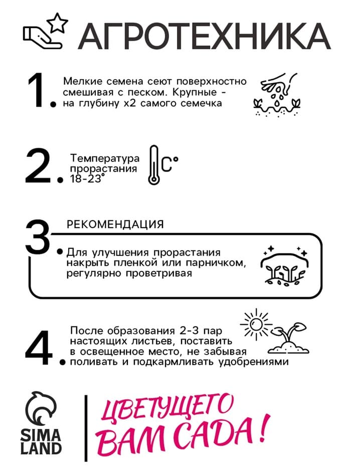 Семена цветов Колокольчик "Первое свидание", Евро, 0,1 г