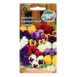 Семена цветов фиалка «Бархатный ковер», Евро, 0.05 г