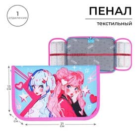 Пенал школьный, 1 секция, 13×21×4 см «Аниме подружки»