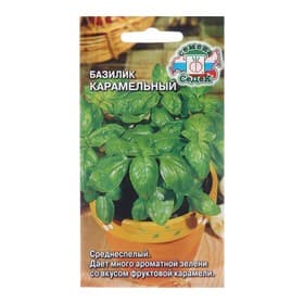Семена Базилик «Карамельный», 0.2 г, «СеДеК»