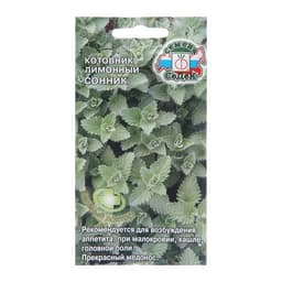 Семена котовник «Сонник», 0.1 г