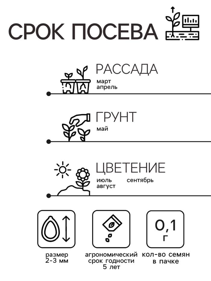 Семена котовник «Сонник», 0.1 г