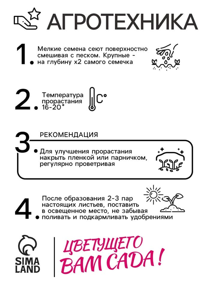 Семена котовник «Сонник», 0.1 г
