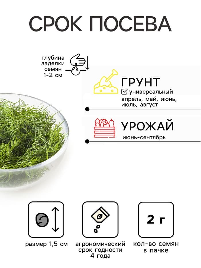 Семена Укроп "Чародей", 2 г