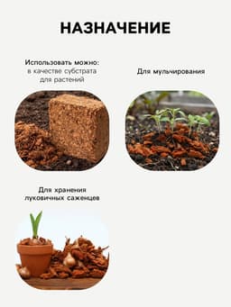 Кокосовые чипсы «Рецепты Дедушки Никиты», 1 л