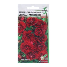 Семена цветов Гвоздика турецкая махровая F1 «Династия красная», 3 шт.