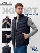 Жилет мужской на молнии MIST, размер 56, синий