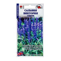 Семена цветов Сальвия «Виктория синяя»,10 шт., «Золотая Сотка Алтая»