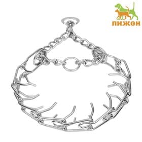 Ошейник - полуудавка строгий, 4 мм × 60 см