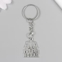 Брелок для ключей на кольце «Юрист - Правит закон», металл, 2.5×2.2 см