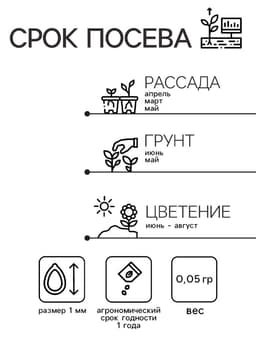 Семена Дельфиниум «Белый», цветной пакет, 0.05 г